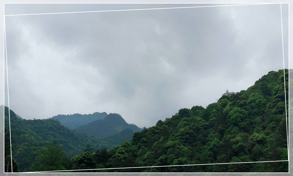 上海匯搜旅游1.jpg